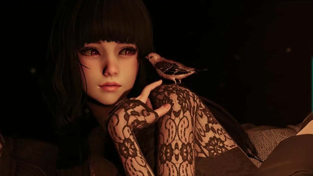 视觉数据3
